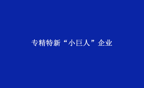 材華科技獲評(píng)國(guó)家級(jí)專(zhuān)精特新“小巨人”企業(yè)